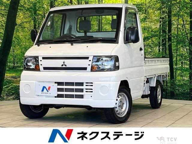 2010 Mitsubishi Minicab Truck