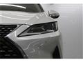 2021 Lexus RX
