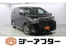 2021 Toyota Alphard G