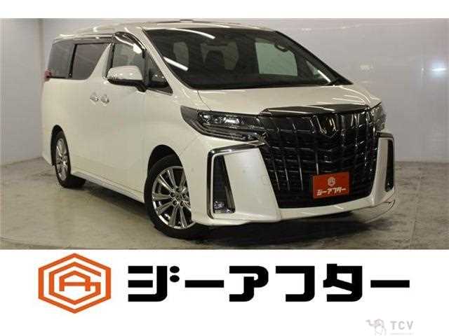 2020 Toyota Alphard G