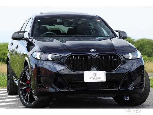 2023 BMW X6