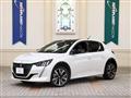 2020 Peugeot Peugoet Others