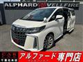 2019 Toyota Alphard G