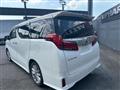 2019 Toyota Alphard G