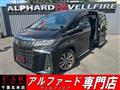 2021 Toyota Alphard G