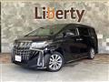 2021 Toyota Alphard G