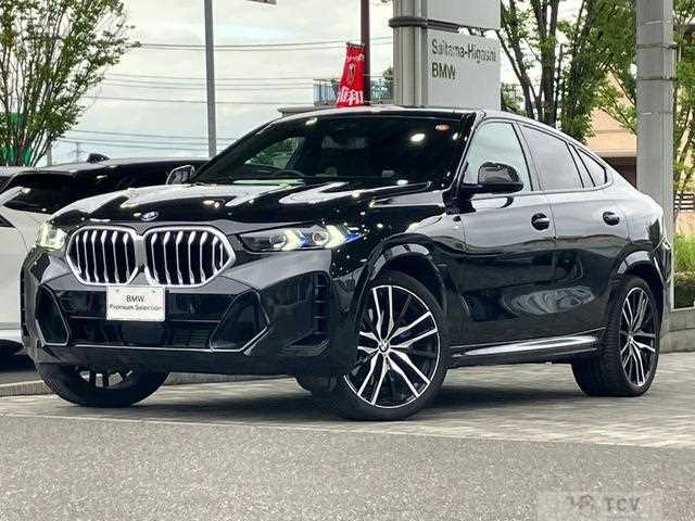 2025 BMW X6