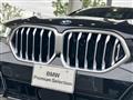 2025 BMW X6