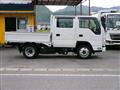 2019 Isuzu Elf Truck