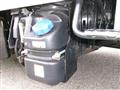 2019 Isuzu Elf Truck