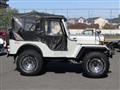 1995 Mitsubishi Jeep