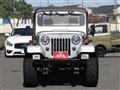 1995 Mitsubishi Jeep