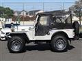 1995 Mitsubishi Jeep