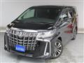 2020 Toyota Alphard G