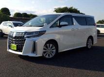 2019 Toyota Alphard G