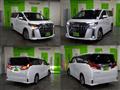 2018 Toyota Alphard G