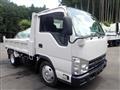 2010 Isuzu Elf Truck