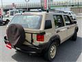 1998 Nissan Rasheen