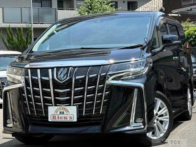2019 Toyota Alphard G