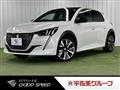 2020 Peugeot Peugoet Others