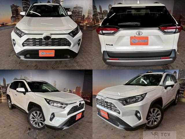 2019 Toyota RAV4