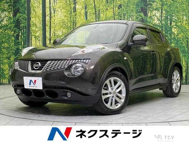 2011 Nissan Juke