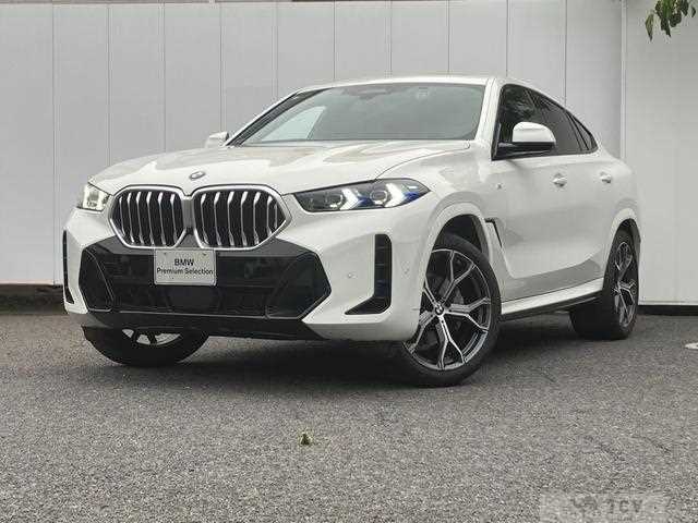 2023 BMW X6