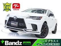2024 Lexus RX