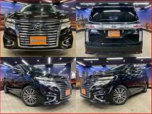 2014 Nissan Elgrand