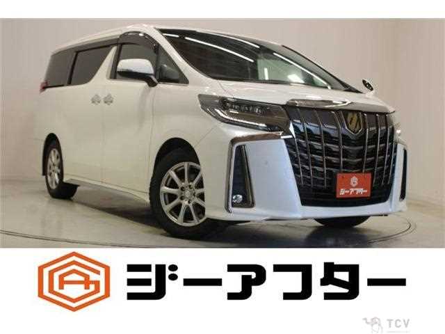 2020 Toyota Alphard G