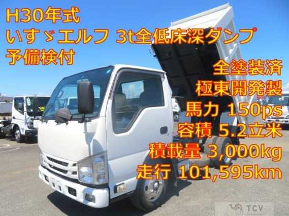 2018 Isuzu Elf Truck