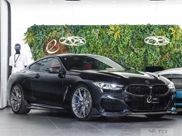 2019 BMW 8 Series