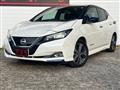 2019 Nissan Leaf