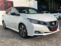 2019 Nissan Leaf