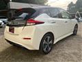 2019 Nissan Leaf