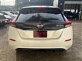 2019 Nissan Leaf