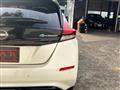 2019 Nissan Leaf
