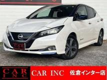 2019 Nissan Leaf