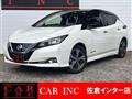 2019 Nissan Leaf