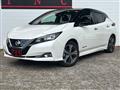 2019 Nissan Leaf