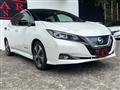 2019 Nissan Leaf