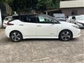 2019 Nissan Leaf