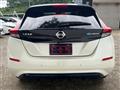 2019 Nissan Leaf