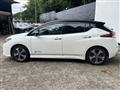 2019 Nissan Leaf