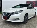 2019 Nissan Leaf