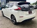 2019 Nissan Leaf