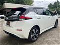 2019 Nissan Leaf