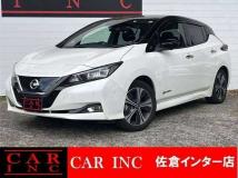2019 Nissan Leaf