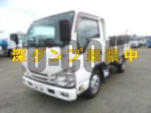 2018 Isuzu Elf Truck