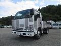2019 Isuzu Elf Truck